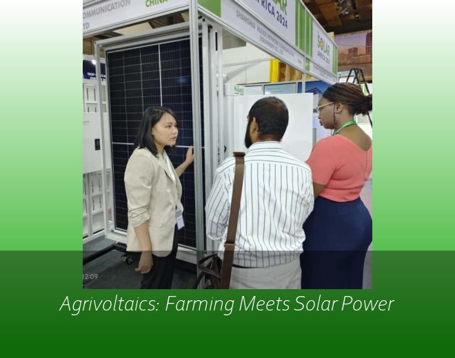 Agrivoltaics: Farming Meets Solar Power